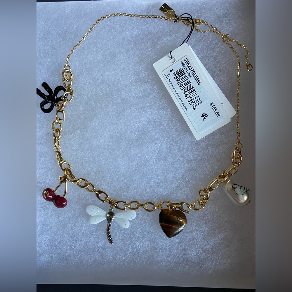 Coach necklace